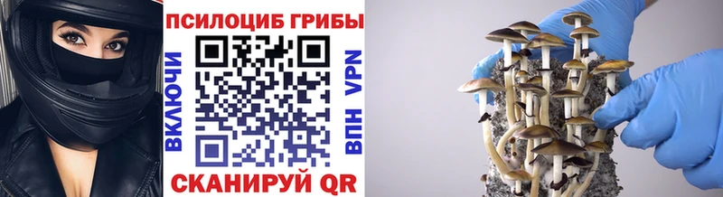 Галлюциногенные грибы Psilocybe  Заречный 